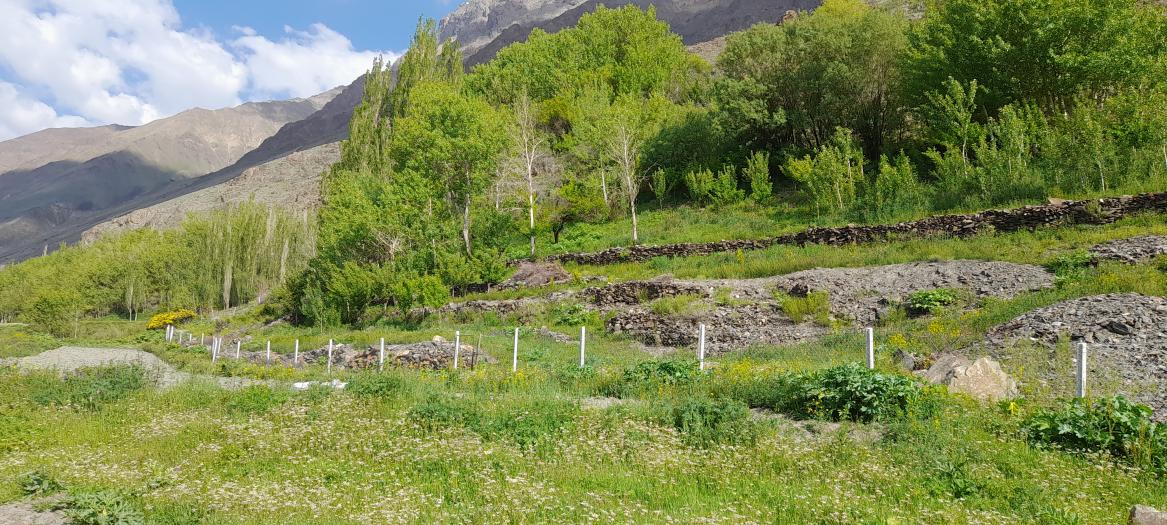 EU-funded INVEST project in Zerafshan, Rural Development, 2024