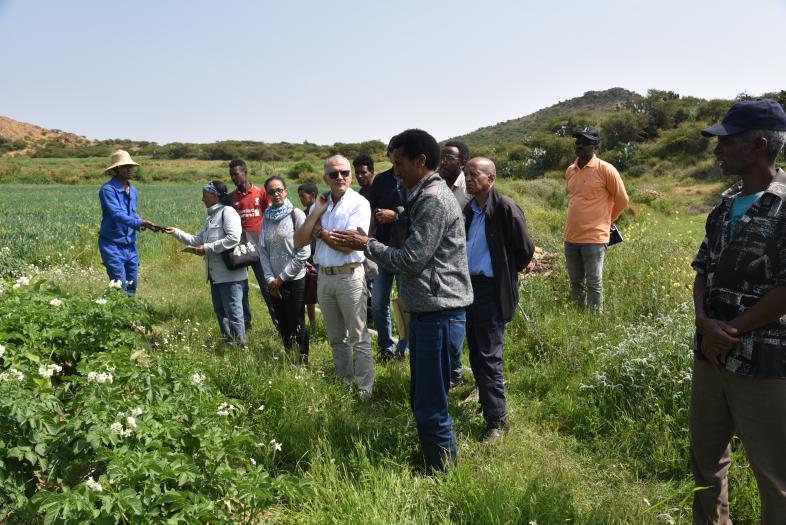 Fostering community-based seed production and improved seed varieties