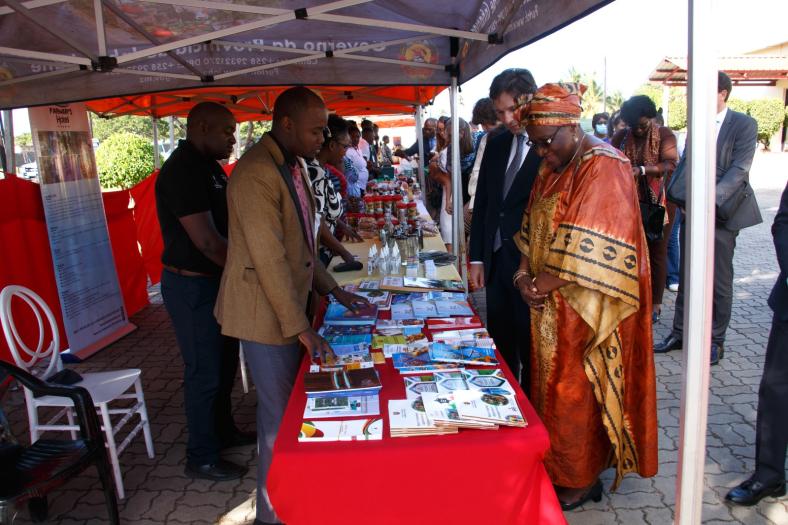 EU - Mozambique Partnership Dialogue_May 2024