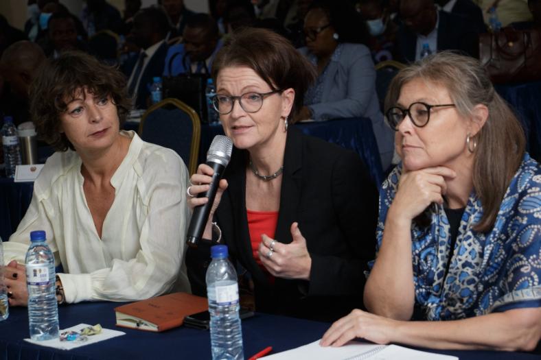 EU - Mozambique Partnership Dialogue_May 2024