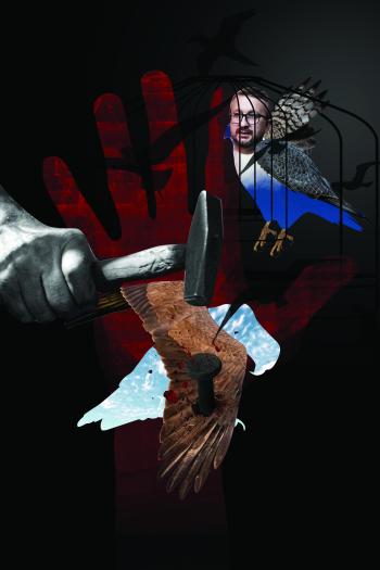 Please Free the Birds exhibition image 1