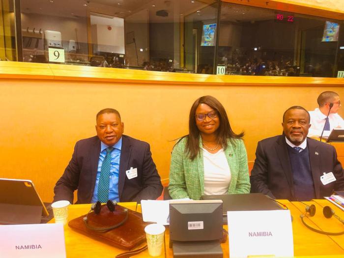 Namibia at EU-AU Ministerial-02