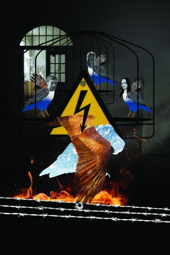 Please Free the Birds exhibition image 2