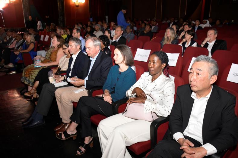 cinema
