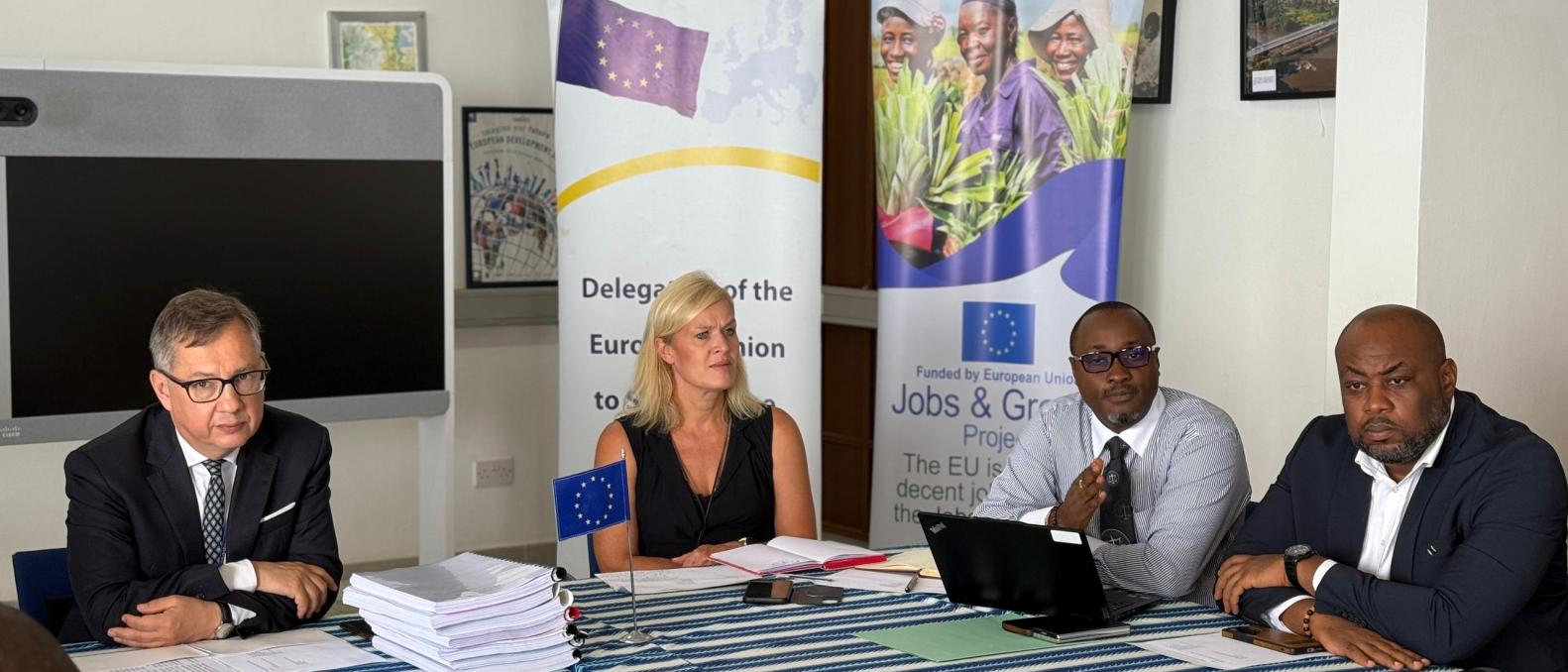 EU Delegation staff with the EU Ambassador 