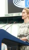 Remarks by High Representative/Vice-President Kaja Kallas at the EP Plenary Session, Stopping the ge