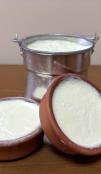 yoghurt