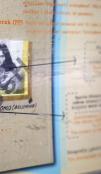Missing Persons