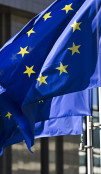 EU flags