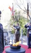 Military personnel performing the military salute