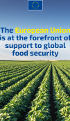 Visual with text on screen: The EU is at the forefront of support to global food security