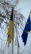 Ukrainian Flag