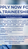 advertisement for a traineeship at the EU Delegation to Iceland
