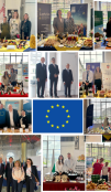 Europe Day Celebration