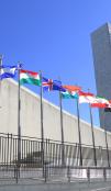 UN building with flags in front