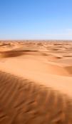 Mauritanian desert