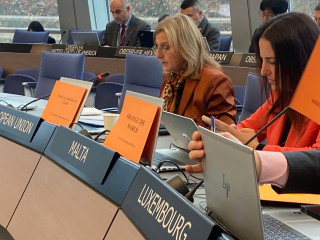 The EU Delegation committed in fighting violence against women