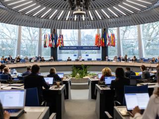 EU Statements at the Council of Europe in January 2024