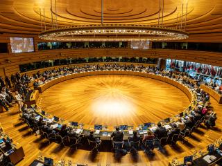 EU Reaffirms Support for Rule of Law and Ukraine at 134th Council of Europe Ministerial Session
