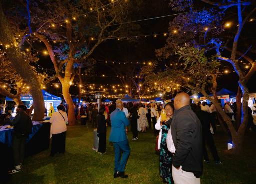 Europe Day Celebrations 2025- Harare, Zimbabwe