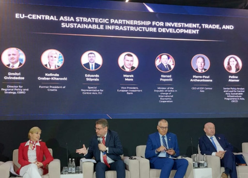 EUSR Eduards Stiprais delivers his statement at the Tashkent International Investment Forum