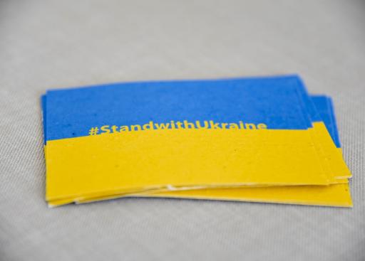 stand with Ukraine mini flags