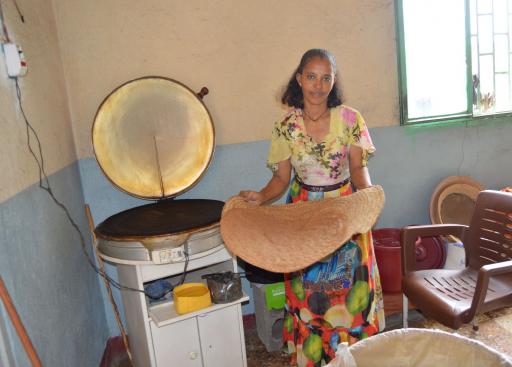 Solar PV Mini Grids for Two Rural Towns and Surrounding Villages in Eritrea