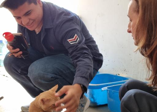 The Delegation of the European Union to Turkmenistan holds online campaign to support rights of animals