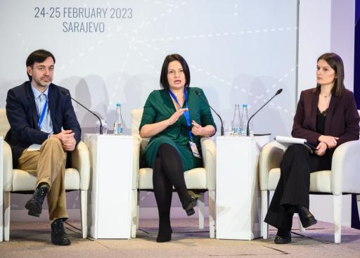 Sarajevo hosts panel discussion on evolution of propaganda narratives on Ukraine