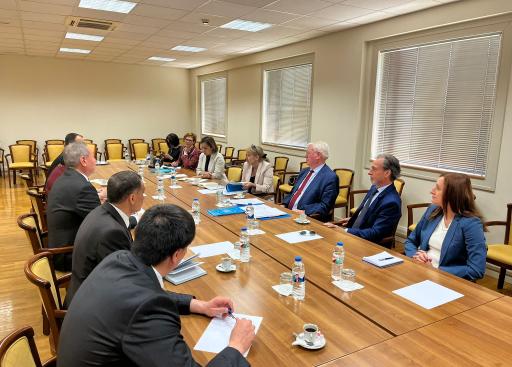 Turkmenistan: EU Special Representative for Central Asia and EU Special Representative for Human Rights at the Institute of State. Law and Democracy  