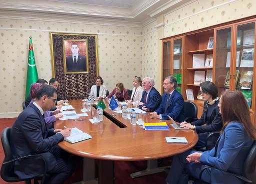 Turkmenistan: EU Special Representative for Central Asia and EU Special Representative for Human Rights with the Ombudswoman 