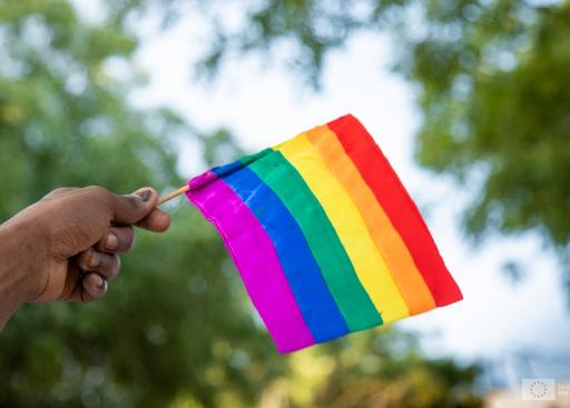 EU Delegation joining Pride event