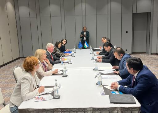 Uzbekistan: EU Special Representative for Central Asia and EU Special Representative for Human Rights with the Minister for Foreign Affairs of Uzbekistan 