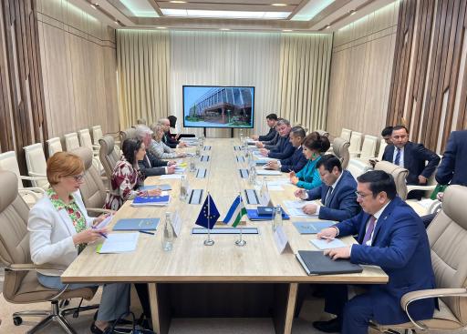Uzbekistan: EU Special Representative for Central Asia and EU Special Representative for Human Rights with the Deputy Minister of Interior 