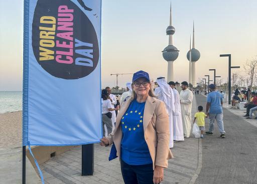 EU Ambassador Anne Koistinen