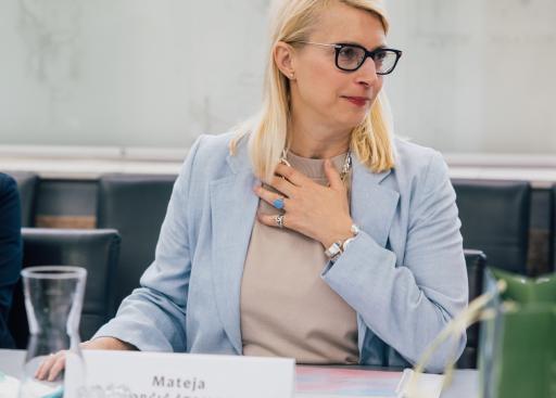 Welcome address by DG for Political Affairs, Mateja Norčič Štamcar, MFEA in Ljubljana