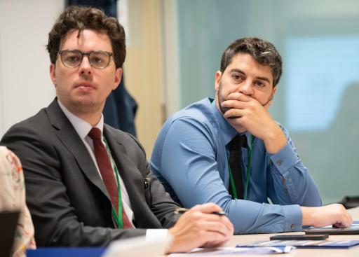 Presentation by FEPS, Brussels