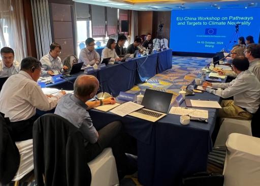 20241014_DELCHN_EU-funded climate modelling workshop with Tsinghua.jpg