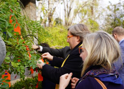 20241125_DELCHN_OrangeDaySolidarityTree (14).JPG
