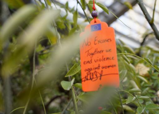 20241125_DELCHN_OrangeDaySolidarityTree (26).JPG