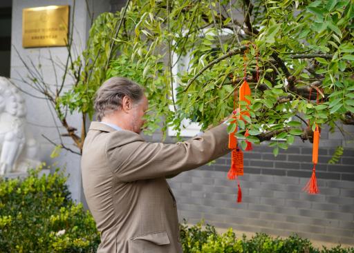 20241125_DELCHN_OrangeDaySolidarityTree (33).JPG