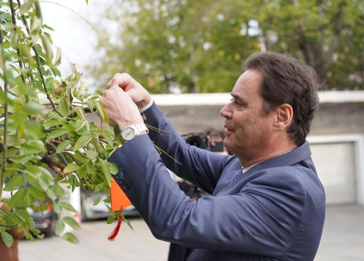20241125_DELCHN_OrangeDaySolidarityTree (9).JPG