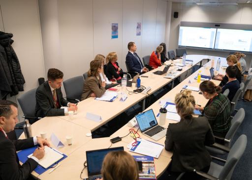 Discussion with Rafal Raciborski, Economic Analyst at DG ECFIN, Brussels