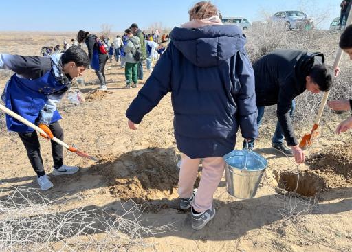 Volunteers team work