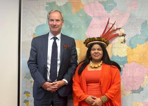 Brasilia Minister for Indigenous Affairs Sonia Guajajara
