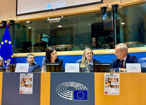 European Parliament Conference on Deportations of Ukrainina Children by Russia