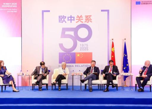 Conference on EU - China 50th year's relation _31