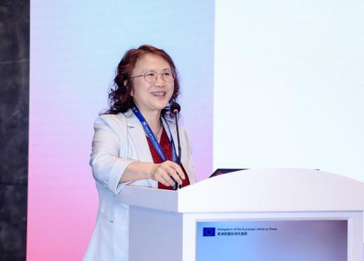 Conference on EU - China 50th year's relation _70