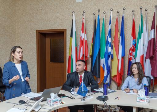 The EU Delegation holds consultations on development of journalism in Turkmenistan