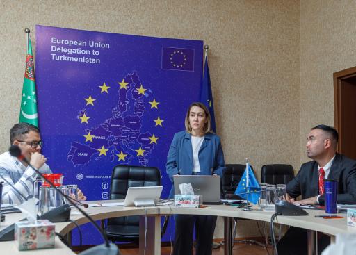 The EU Delegation holds consultations on development of journalism in Turkmenistan